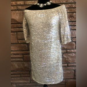 Size Medium NWOT Sequin dress can be also worn as a top with pants